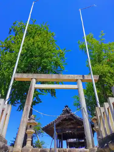 神明社（神明津子新田）の鳥居