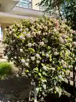 福王山 慈眼寺(東京都)