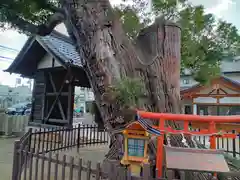 阿遅速雄神社の建物その他