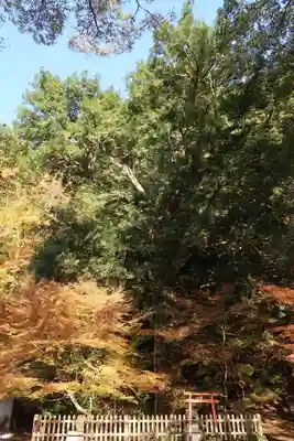 金剛院(京都府)