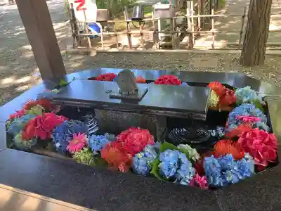 新琴似神社(北海道)