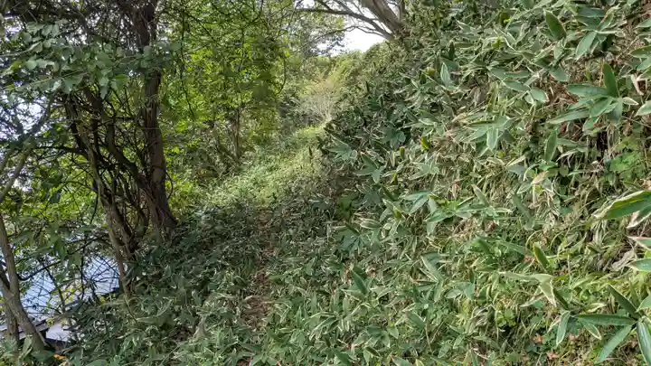 稲荷神社の自然