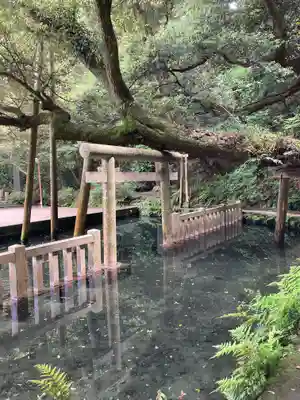 鹿島神宮(茨城県)