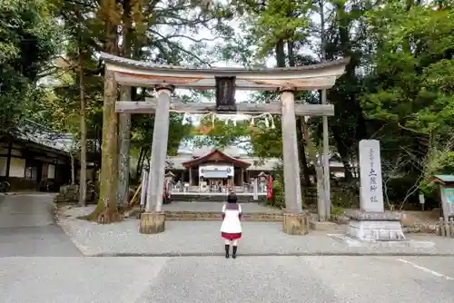 土佐神社の鳥居