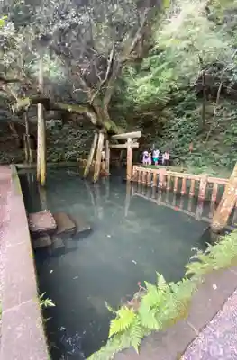 鹿島神宮(茨城県)