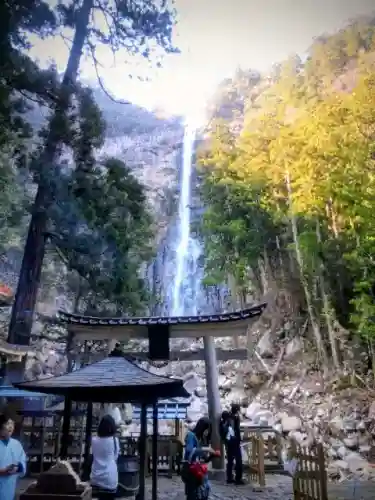 飛瀧神社（熊野那智大社別宮）の{uncategorized: "未分類", other: "その他", undefined: "問題あり", building: "その他建物", grave: "お墓", sacred_gate: "鳥居", guardian: "狛犬", statue: "像", buddha: "仏像", history: "歴史", nature: "自然", garden: "庭園", animal: "動物", pagoda: "塔", temizu: "手水舎", mountain_gate: "山門・神門", sanctuary: "本殿・本堂", subordinate: "末社・摂社", art: "芸術", scenery: "景色", jizo: "地蔵", ema: "絵馬", goshuin: "御朱印", omikuji: "おみくじ", items: "授与品その他", amulet: "お守り", goshuincho: "御朱印帳", eats: "食事", festival: "お祭り", votive_dance: "神楽", shichigosan: "七五三参", wedding: "結婚式", experience: "体験その他", initially: "初詣", around: "周辺", anti_infection: "感染症対策"}