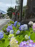 北東本宮小室浅間神社(山梨県)