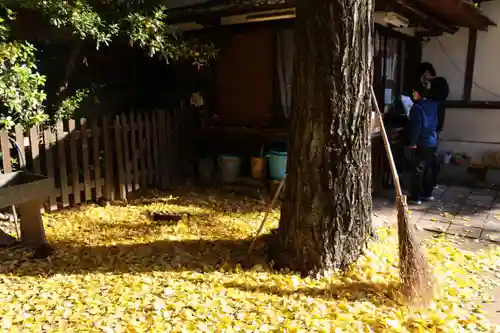 阿邪訶根神社の自然