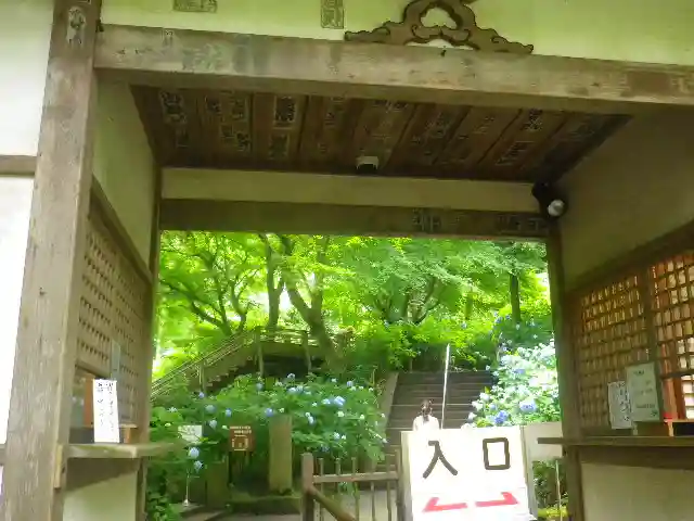 明月院の山門・神門