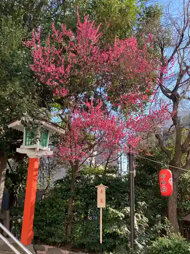 田無神社の自然