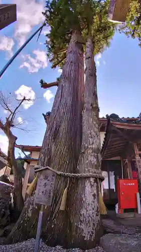 鳴谷神社の自然