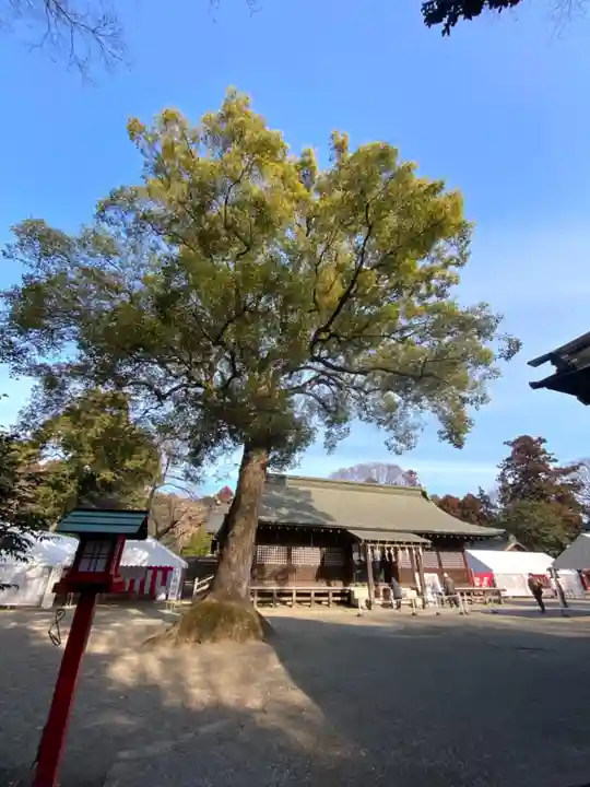 鷲宮神社の本殿・本堂