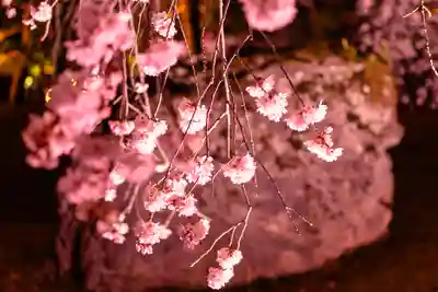 平安神宮(京都府)