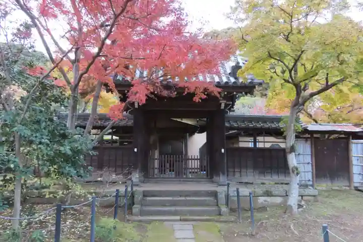 本土寺の山門・神門