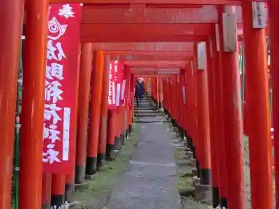 佐助稲荷神社の鳥居