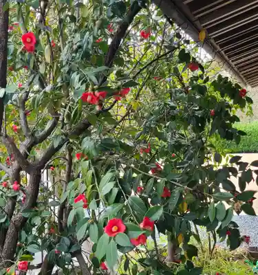 出雲大社倉敷教会(岡山県)