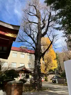 素盞雄神社(東京都)
