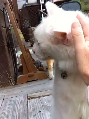 光珠院(埼玉県)