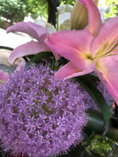 野見神社の自然