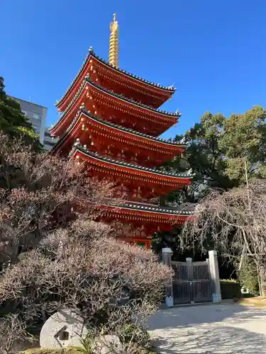 東長寺の塔