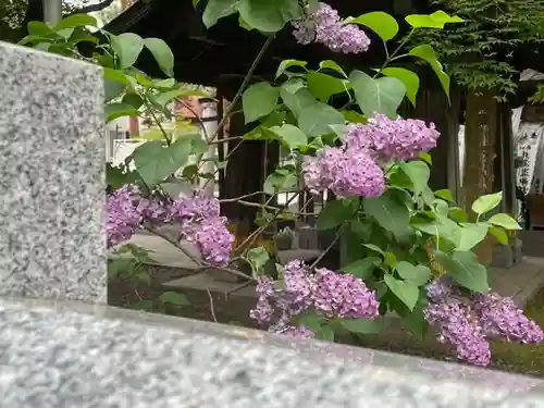 彌彦神社　(伊夜日子神社)の自然
