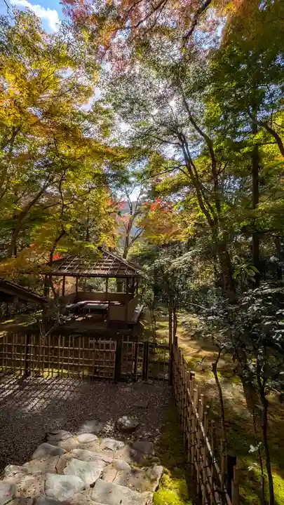 高山寺(京都府)