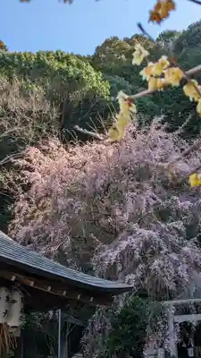 大豊神社(京都府)
