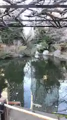 愛宕神社の庭園