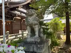 愛媛縣護國神社(愛媛県)