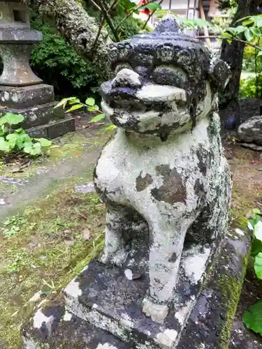 柳津虚空蔵尊 寳性院の狛犬