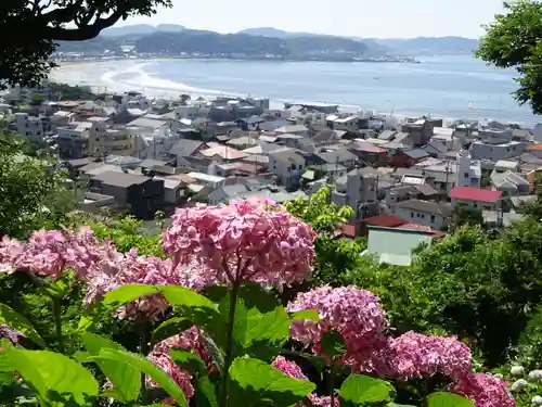 長谷寺の景色