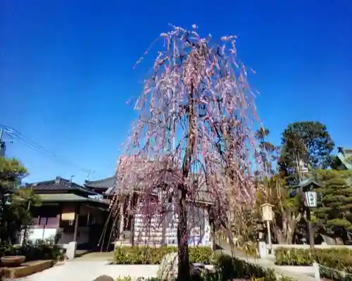 常性寺(東京都)