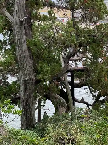 森戸大明神（森戸神社）(神奈川県)
