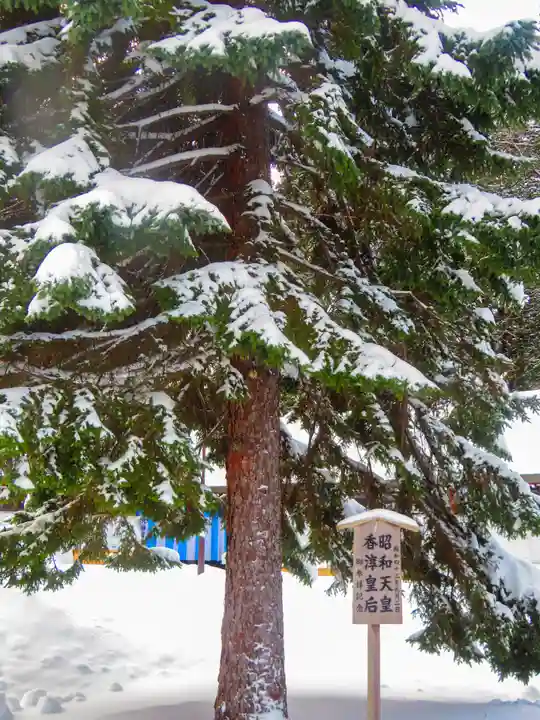 北海道神宮(北海道)