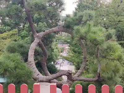 清水観音堂(東京都)