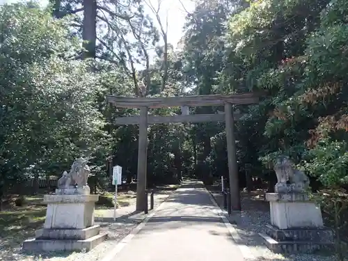 若狭彦神社（上社）の鳥居