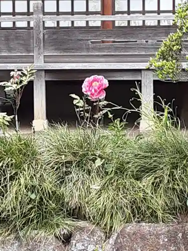 等覚院(神奈川県)