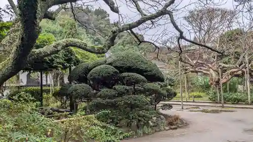 極楽寺（霊鷲山感應院極楽律寺）の庭園