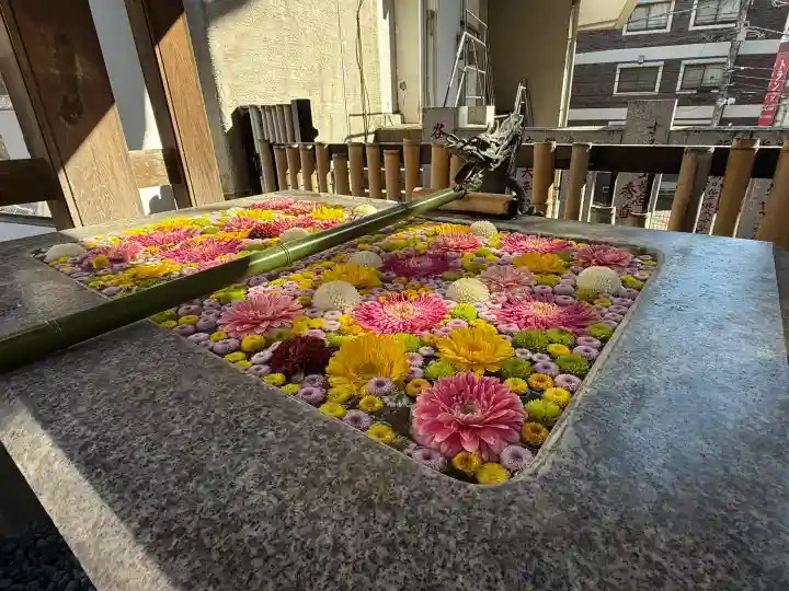 高円寺氷川神社の{uncategorized: "未分類", other: "その他", undefined: "問題あり", building: "その他建物", grave: "お墓", sacred_gate: "鳥居", guardian: "狛犬", statue: "像", buddha: "仏像", history: "歴史", nature: "自然", garden: "庭園", animal: "動物", pagoda: "塔", temizu: "手水舎", mountain_gate: "山門・神門", sanctuary: "本殿・本堂", subordinate: "末社・摂社", art: "芸術", scenery: "景色", jizo: "地蔵", ema: "絵馬", goshuin: "御朱印", omikuji: "おみくじ", items: "授与品その他", amulet: "お守り", goshuincho: "御朱印帳", eats: "食事", festival: "お祭り", votive_dance: "神楽", shichigosan: "七五三参", wedding: "結婚式", experience: "体験その他", initially: "初詣", around: "周辺", anti_infection: "感染症対策"}