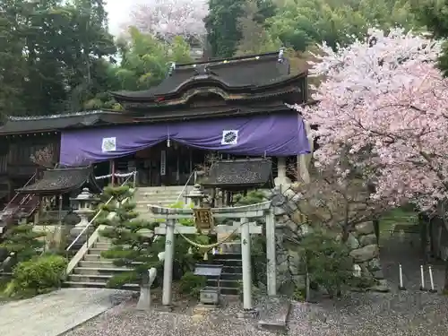 竹生島神社（都久夫須麻神社）の本殿