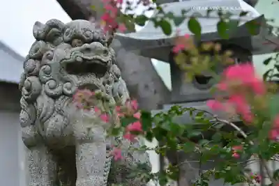 八幡大神(神奈川県)