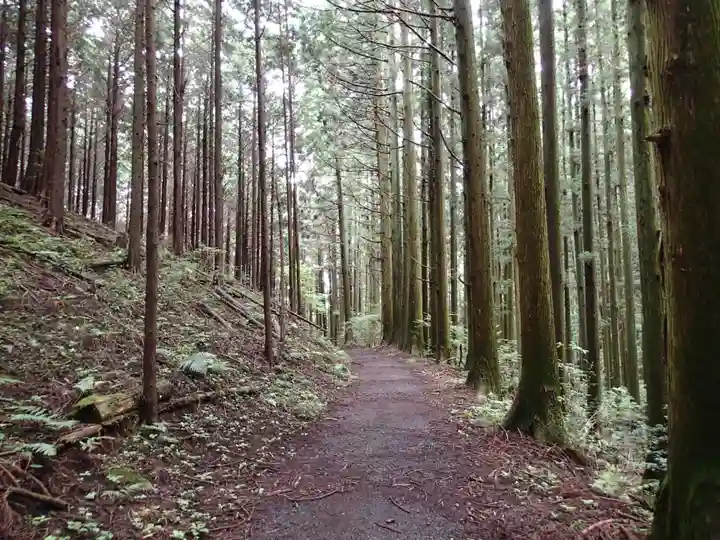 名草厳島神社の周辺