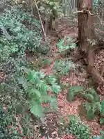 金刀比羅宮(千葉県)