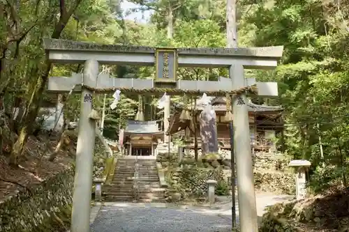 崇道神社の鳥居