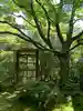 桂春院の庭園