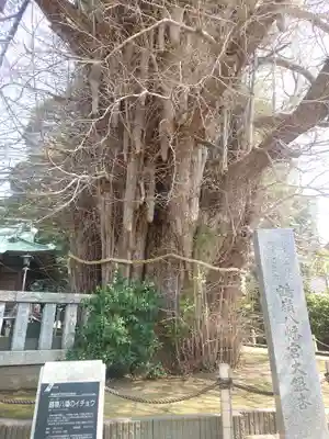 鶴嶺八幡宮(神奈川県)