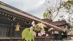 北野天満宮の自然