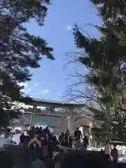 住吉神社の鳥居