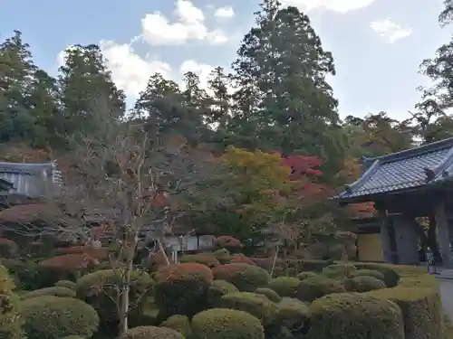 西明寺の庭園