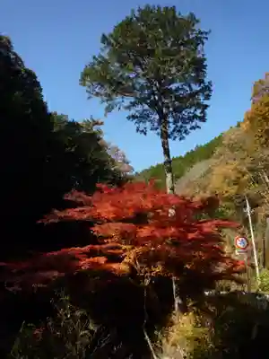 皆沢八幡宮本殿(群馬県)